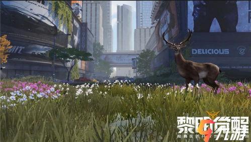 黎明觉醒大爆料最新,揭秘游戏背后不为人知的秘密与幕后故事