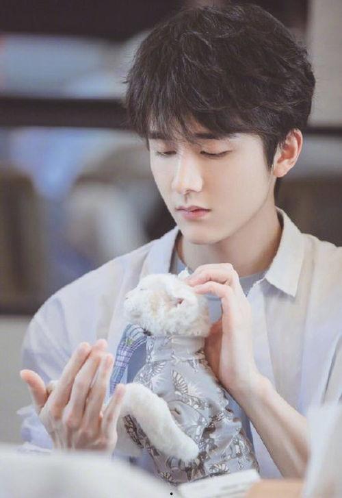 新丁杨洋最新爆料图片,帅气形象引粉丝热议